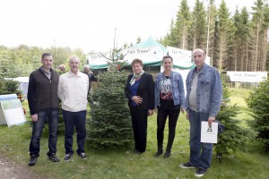 Fair Trees, Marianne Bols